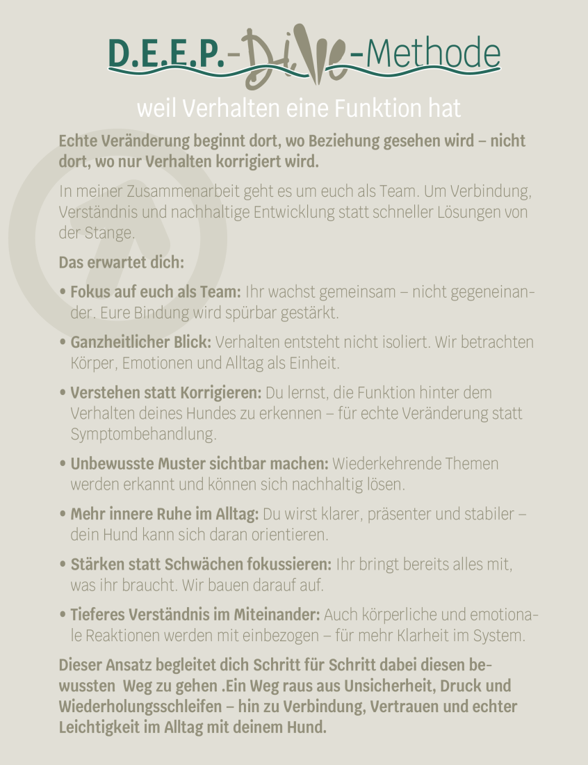 Deep Dive Methode