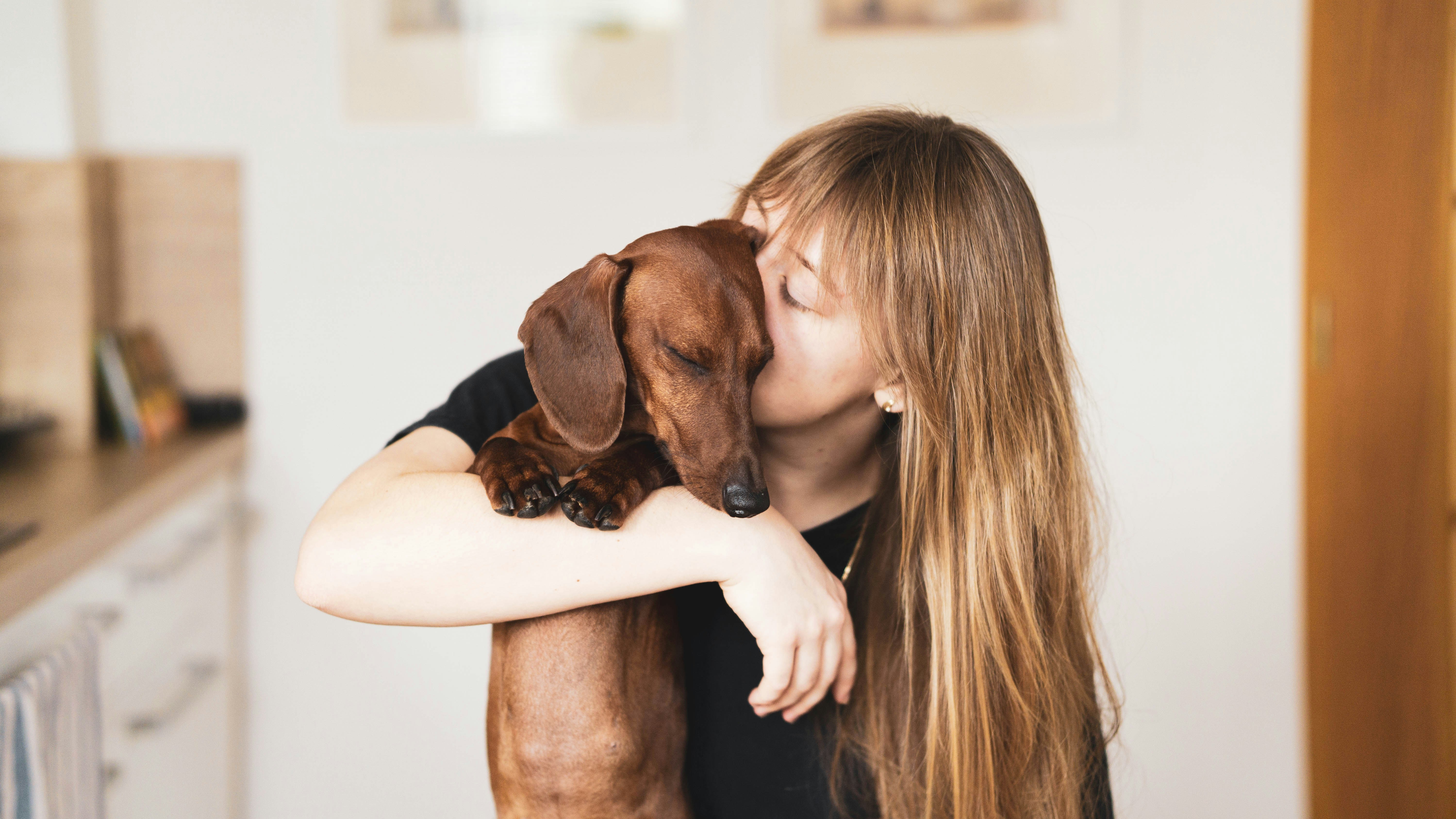 Warum ausgerechnet dieser Hund?