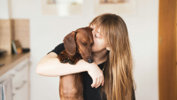 Warum ausgerechnet dieser Hund?